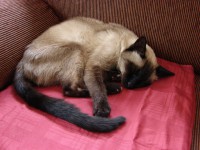 /album/frici/dsc03435-jpg/