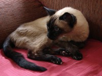 /album/frici/dsc03441-jpg/